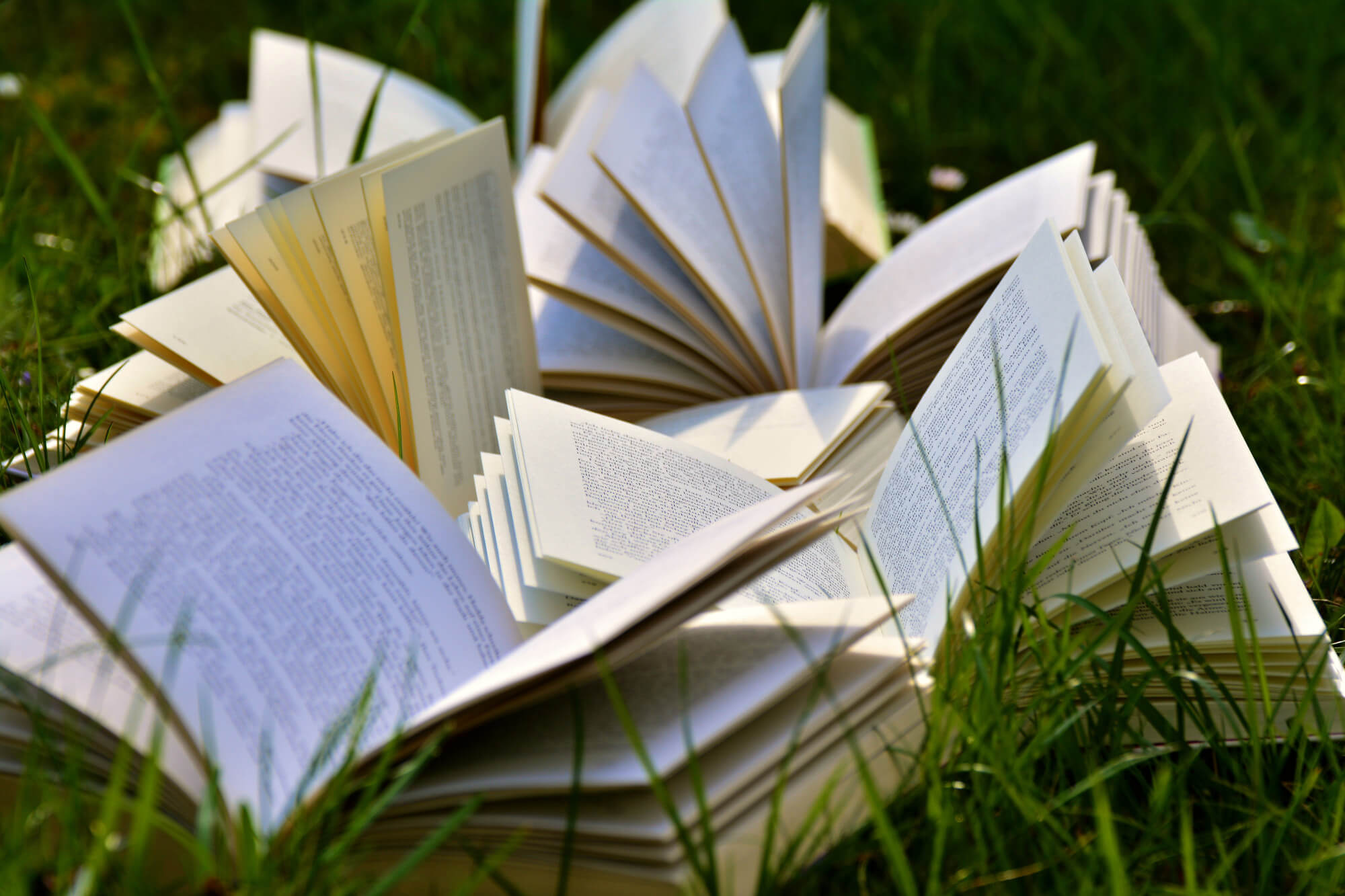 fotoboekeninhetgras.jpg